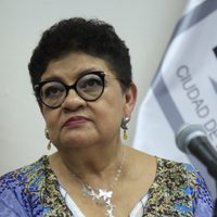 Denuncian fallas en investigación de la FGJCDMX en 28 feminicidios y 19 desapariciones