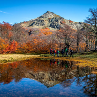 Otoño en Neuquén: el destino recomendado por "Booking" para una escapada inolvidable