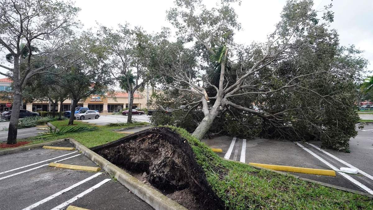 Un árbol arrancado de raíz por los fuertes vientos del huracán Ian yace en el estacionamiento de un centro comercial en Cooper City, Florida.