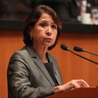 Legisladora panista presenta iniciativa para regular la publicidad oficial en Colima