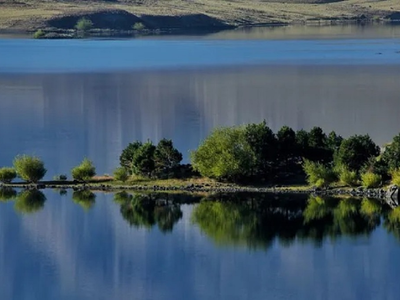 Los Cerrillos: pesca de truchas gigantes en el norte neuquino y cómo llegar a este paraíso