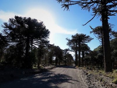 La provincia expuso el proyecto de asfalto de la ruta provincial 60 ante las comunidades mapuches