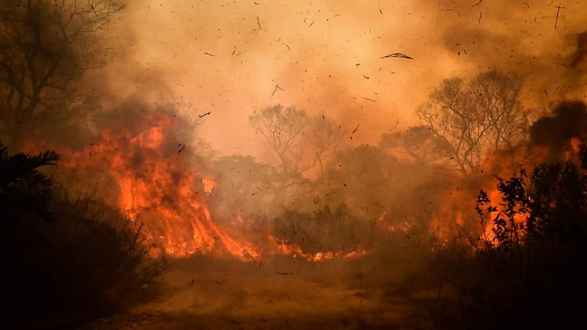 Ya se quemó el 20% del Pantanal. Fuente: (Twitter)
