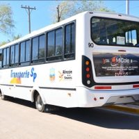 Por primera vez los habitantes de Rincón de los Sauces tendrán servicio de transporte urbano de pasajeros