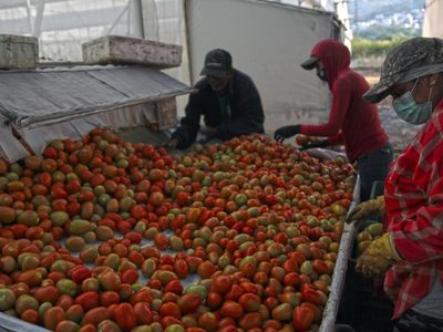 Salario de más de seis millones de trabajadores cayó a dos salarios mínimos entre 2018 y 2020: CEESP