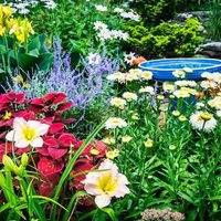 El secreto de los viveristas con 1 ingrediente para mantener a tus plantas libres de plagas