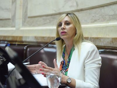 Reforma judicial: una senadora aseguró que el oficialismo conseguirá la media sanción