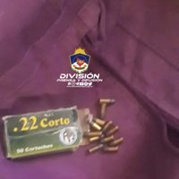 Allanaron 3 viviendas en Neuquén, encontraron un arma, municiones y demoraron a 4 personas