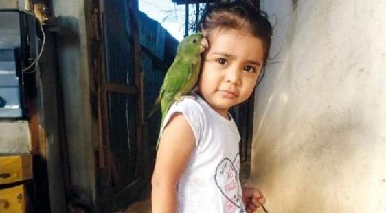 Sofía. En busca de niños migrantes desaparecidos
