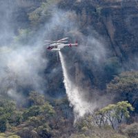 Controlado en un 90% el incendio en zona boscosa de Tepoztlán