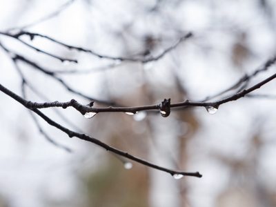Alerta naranja del SMN: mirá las zonas afectadas por tormentas y viento