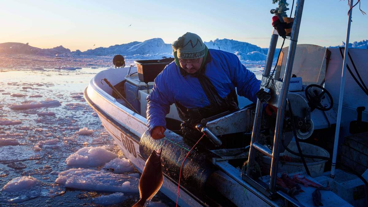 Un pescador captura un pez en Disko Bay, cerca de Ilulissat, Groenlandia, el 28 de enero de 2026