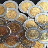 La moneda de $1 con la que te podés ganar rápidamente hasta 5.900.000 pesos