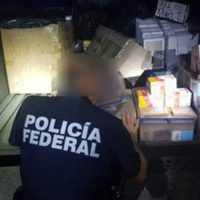 Hallan 50 mil cartuchos útiles escondidos en un autobús de pasajeros en Veracruz