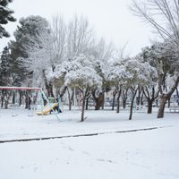 Nevadas en gran parte de Neuquén: precaución en las rutas y asistencia a vecinos