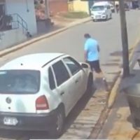 Sheinbaum calificó como terrible y condenable la muerte de “Scooby” en un cazo con aceite hirviendo