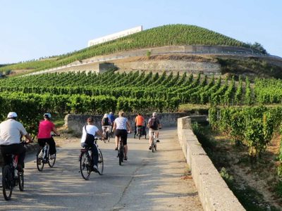 Crean un diccionario especial para fomentar el Enoturismo