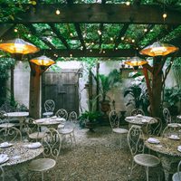 Sombra natural: las tres mejores plantas para tu pérgola