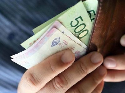 ANSES: quiénes cobran jubilaciones, pensiones y asignaciones esta semana