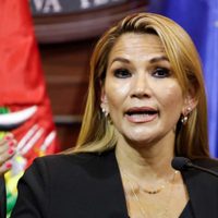 Áñez presentó un proyecto de ley que obliga al debate electoral de los candidatos