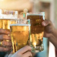San Martín de los Andes tendrá su Fiesta cervecera