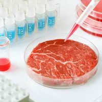 En Singapur, aprueban la producción de carne cultivada en laboratorio