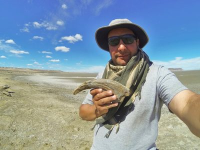 Descubren dinosaurio con poderosas garras en Argentina