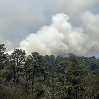 Tepoztlán: restringen acceso a áreas naturales tras incendios