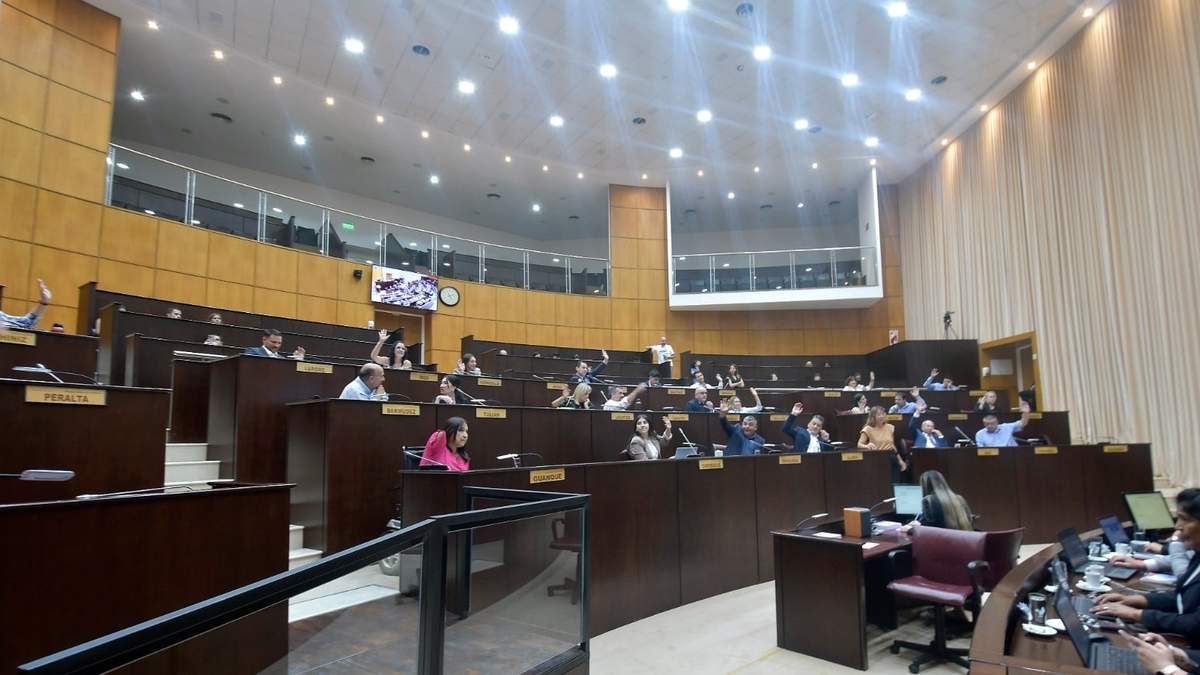 Los diputados aprobaron por unanimidad el Plan de Manejo del Fuego. Fuente: (Legislatura de Neuquén)