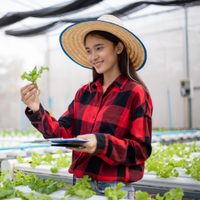 Como un profesional: cómo es la técnica de hidroponia para hacer crecer tus plantas sin tierra