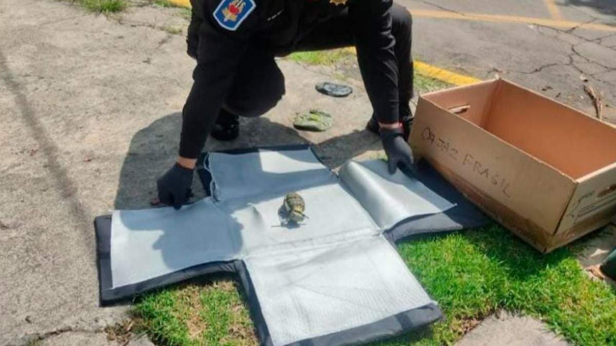 Aseguran la granada de fragmentación