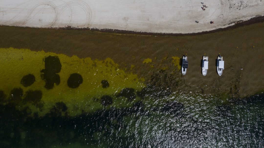 04_335ae54e4ea5db5d10-220719-sargazo-drone-as3