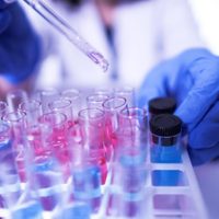 Coronavirus: el gobierno bonaerense solicitó extremar las medidas de autocuidado