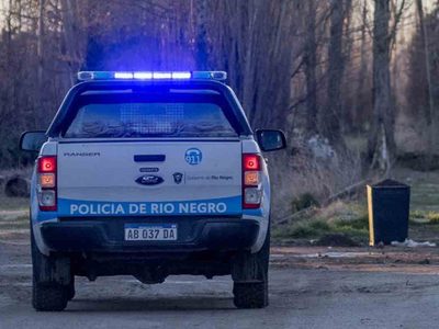 Denuncian la presencia de animales sueltos en la avenida Bustillo