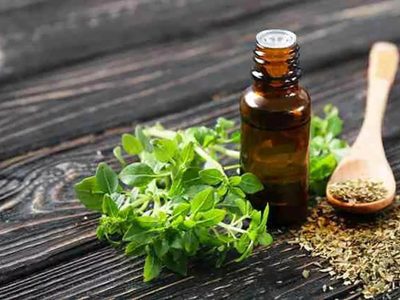 Cómo hacer tu propio aceite de orégano casero y así obtener increíbles beneficios para la salud