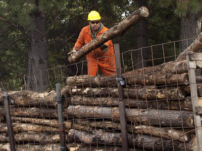 Distribuirán estufas a leña de bajo consumo a familias rurales