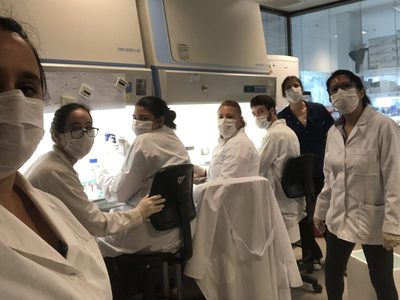 CONICET: avanza la creación de la vacuna argentina contra el coronavirus