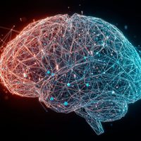 ACV y demencia, las enfermedades que más afectan al cerebro