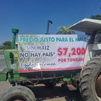 Maiceros en Jalisco rechazan pago de 6 mil pesos por tonelada; advierten que seguirán los bloqueos