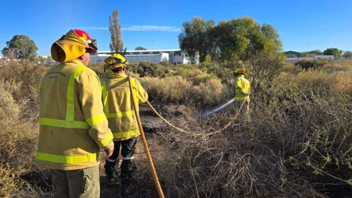 Bomberos Voluntarios de Centenario apagan un incendio en un predio cercano a Ruta 7. Fuente: (Alerta Digital)