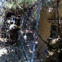 Profepa descarta la presencia de un tigre suelto en el Desierto de los Leones