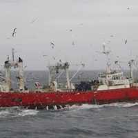 Coronavirus en Ushuaia: cómo se contagiaron 57 personas en alta mar