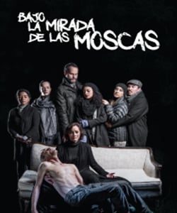 "Bajo la mirada de las moscas"