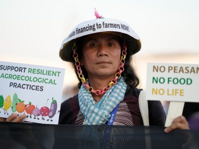 La COP28 dedica un día a la ganadería, pero expertos ven difícil reducir emisiones
