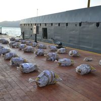Semar asegura embarcación con 728 kilos de cocaína en Guerrero