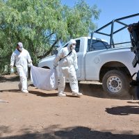 Hallan restos de nueve personas en fosas clandestinas en Zacatecas