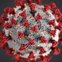 Pandemia por coronavirus: identificaron algunas posibles secuelas de la enfermedad