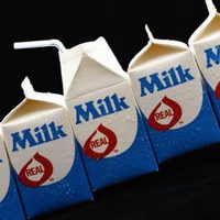 No tires las cajas de cartón de leche y transformalas en estos hermosos objetos de decoración