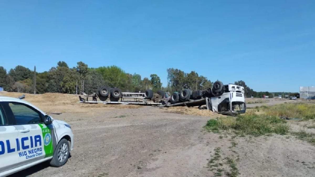 El camión quedó volcado a un costado de la Ruta 22, cerca de Choele Choel. Fuente (7 En Punto)