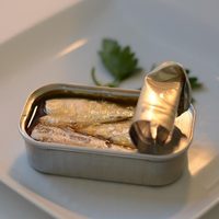 No tires las latas de sardinas: así de fácil podés crear una maceta para tus minisuculentas
